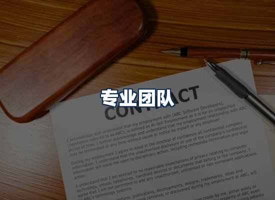 专业团队