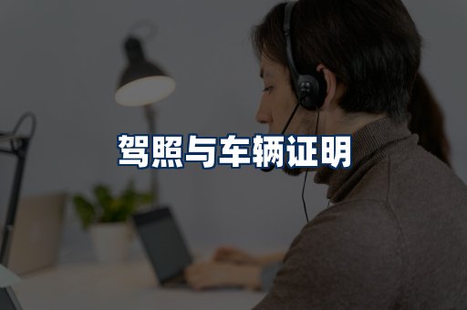 车辆证明展示